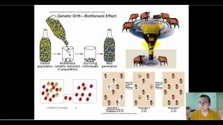 Microevolution Through Genetic Drift