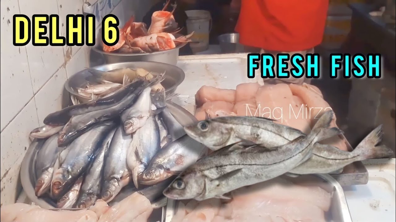 Old delhi Fish rates unveiled Delhi fish shop Maq Mirza YouTube