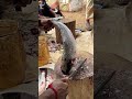 Rohu Fish Cutting 🔥 Amazing Knife Skills #shorts
