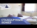 Стандартный номер в недорогом миниотеле Киева на Голосеевском проспекте Sky Home Hotel Kyiv