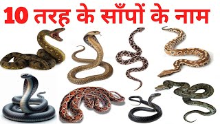 10 तरह क सप क नम 10 Snake Name In English Learning With Fun,Jokes And Enjoying This Video