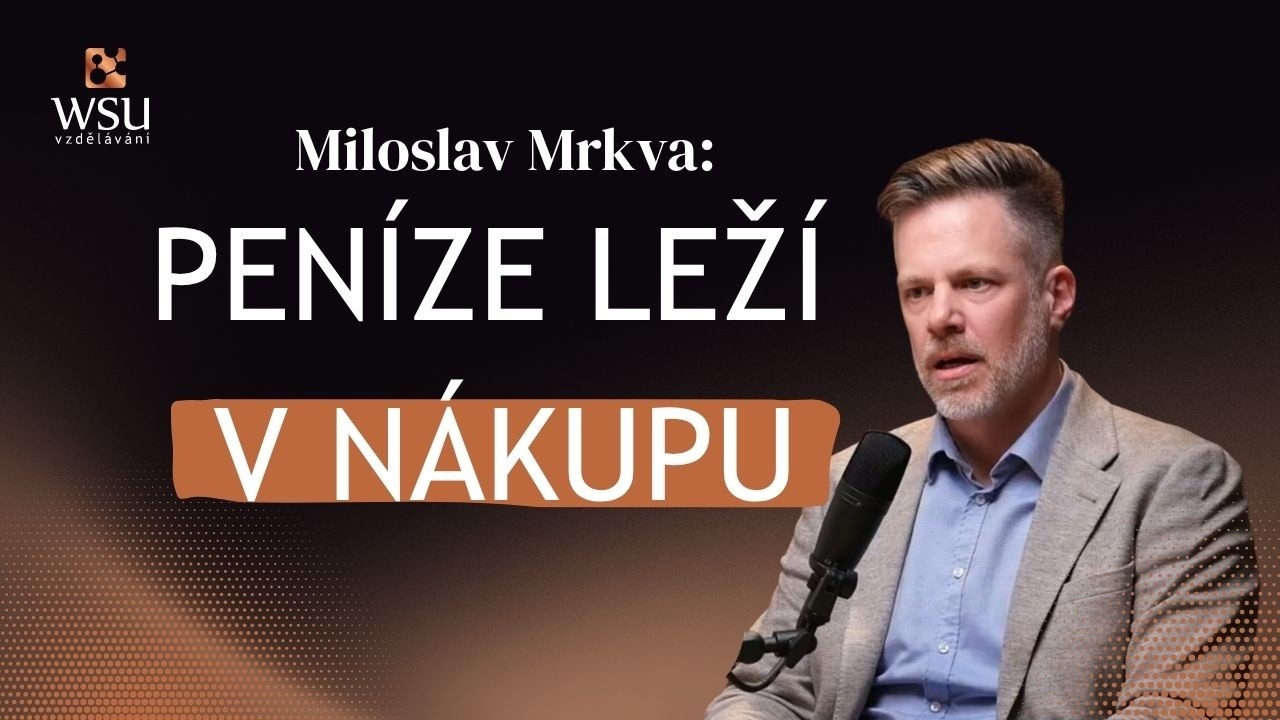 Kde firmám utíkají miliony v nákupu