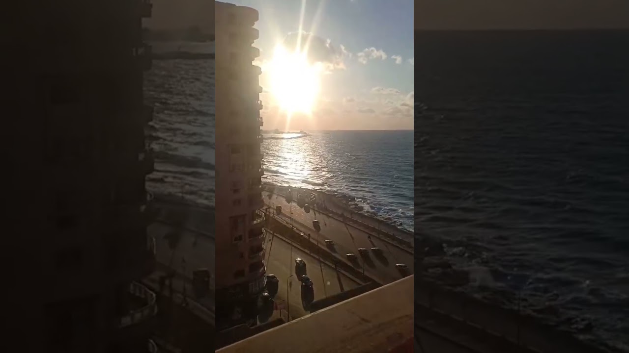 365 days of adventure in 60 minutes of joy