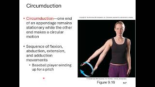 Chapter 9 Joints Micro Lecture 3 Movements