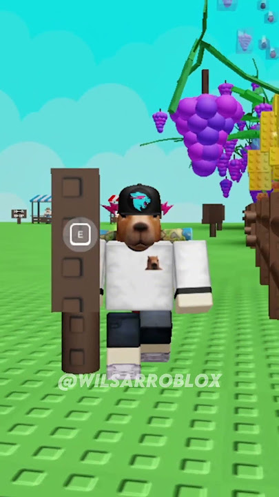 KLARIFIKASI SOAL AKU YANG DITUDUH SUKA CURI BUAH DI GROW A GARDEN ROBLOX?