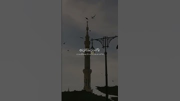 محمد صديق المنشاوي سورة الكافرون