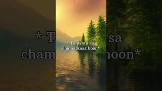 Zindagi Sawar Doon Try It With Your Own Voice