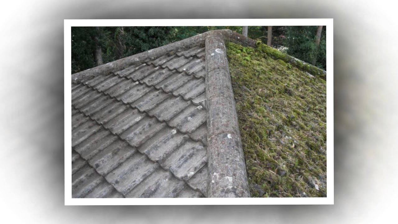 Roof Cleaning Brisbane | Roofing Brisbane