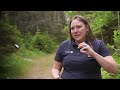 Destination Michigan 1605: Narnia Trail
