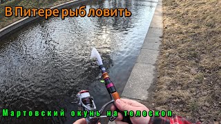 картинка: В Питере рыб ловить. Мартовский окунь на телескоп purelure