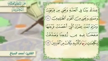 آية١٢سورة التحريم المكرر القارئ أحمد الدباغ