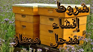 لكل نحال مبتدئ ماهي شروط المنحل الجيدAdvantages of a good apiary