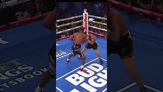 Was This a Robbery ? Haney vs Lomachenko #boxing #devinhaney #lomachenko