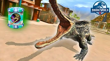 D.REX Vs GRYPOLYTH BOSS || SPECIAL BOSS RAID || JURASSIC WORLD ALIVE || V3.15