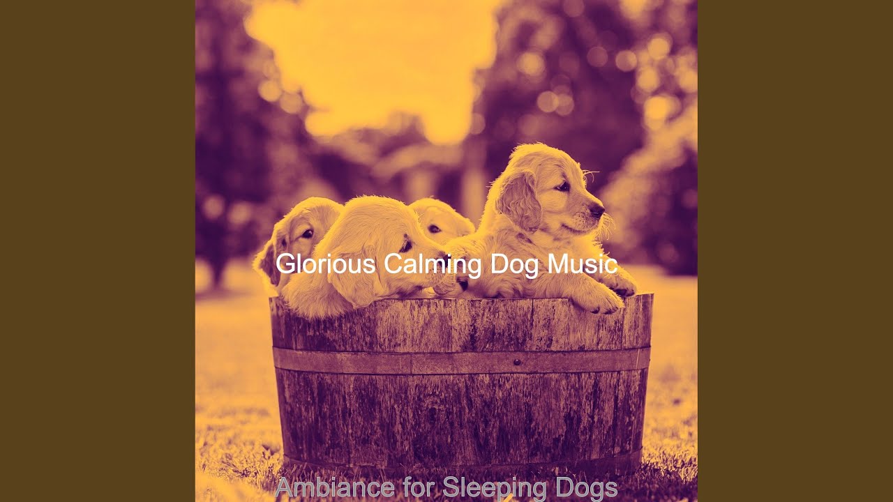 Spacious Calming Your Pup