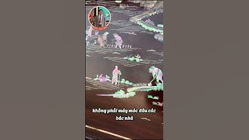 BỨC TRANH ĐỒNG QUÊ – HỒN QUÊ TRONG TỪNG NÉT KHẢM