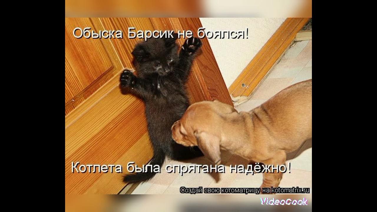 "где" прикольная картинка. Психологический тест страхи. Страх карикатура. Самые свежие приколы в картинках с надписями. Он чего нибудь боится.