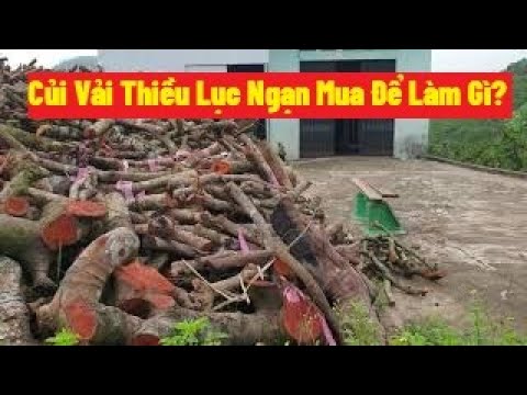 Video: Làm Thế Nào để Bán Củi