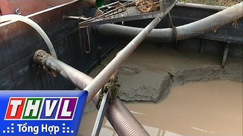 THVL | Khai thác cát trái phép