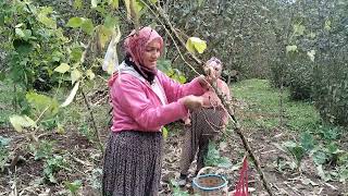 Rabbi̇m Çalişana Veri̇r Emek Olmadan Yemek Olmaz Komşum Ari̇femle Bahçede Taze Fasülye Topluyoruz
