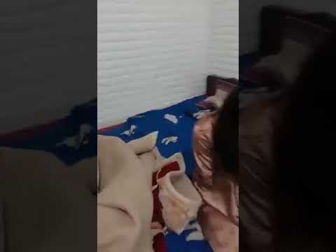 Video Đánh ghen 2020. Em gái yên bái cùng chàng trai lái... - youtube