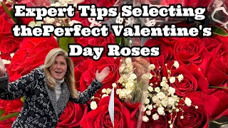 Expert Tips :Selecting the Perfect Valentine's Day Roses by Kelly Lehman 322 views 3 months ago 7 minutes, 12 seconds