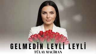 Tülay Maciran - Gelmedin Leyli Leyli Türkü Trap Remix 2026
