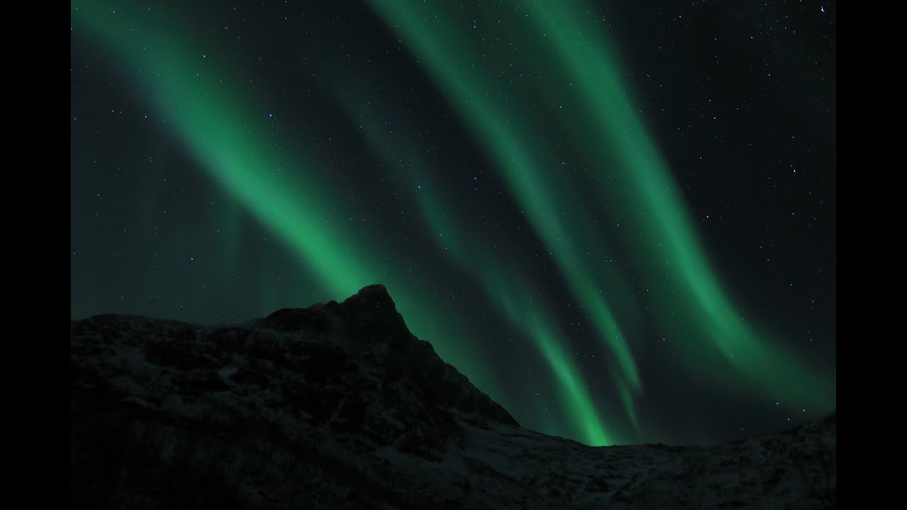 Store Blåmann in the Polar Night