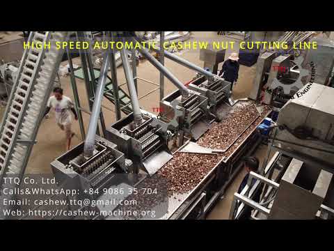 Automatic Cashew Nut