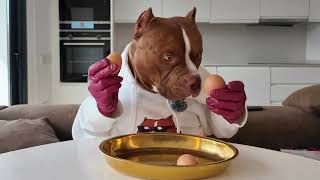 3 Eggs, Only 1 Real