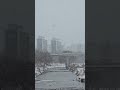 눈과 양재천(Yangjae Stream with snow falling)