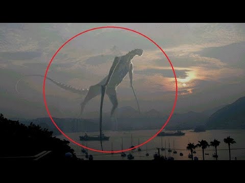 Video: 10 Most Creepy Creatures Found, And Who They Really Turned Out To Be - Alternative View