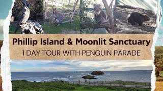 Things to do in Phillip Island | Day Trip from Melbourne | Wildlife | Scenic Views | Penguin Parade
