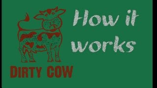 Lecture on the Dirty COW Vulnerability and Attack