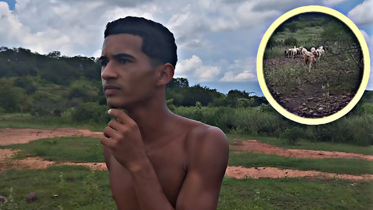 BRUTINHO EM BUSCA DE FIRMINO CADE FIRMINO SUMIU?