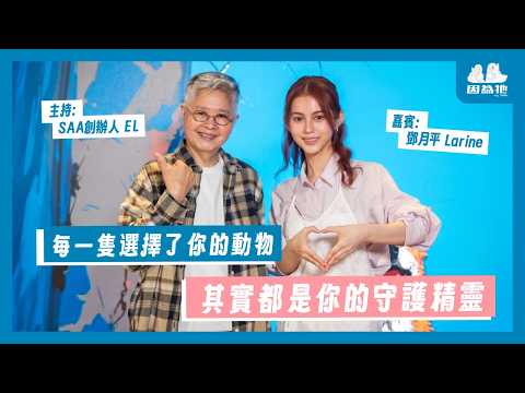 「因為牠，我才發現愛不是虛構的，而是真實存在的。」— 鄧月平與她的精靈們：拉布拉多、茅茅、Monster