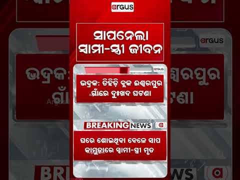Tragic Snake Bite Incident In Bhadrak: Husband and Wife Die In Tihidi | Argus News