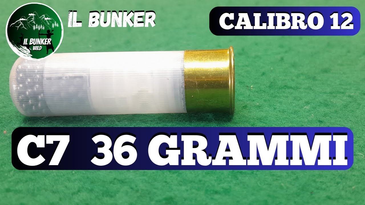 36 GRAMMI C7 - CALIBRO 12