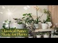 Classical Music For Plants Growth Relaxing Piano For Plants Plant Lovers 