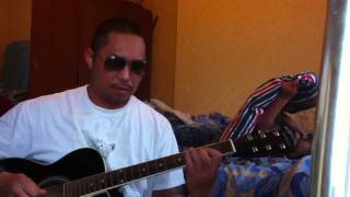 Audioslave- shadow of the sun acoustic cover