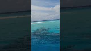 #bollywoodsongs #movie #hindisong #dance #maldives