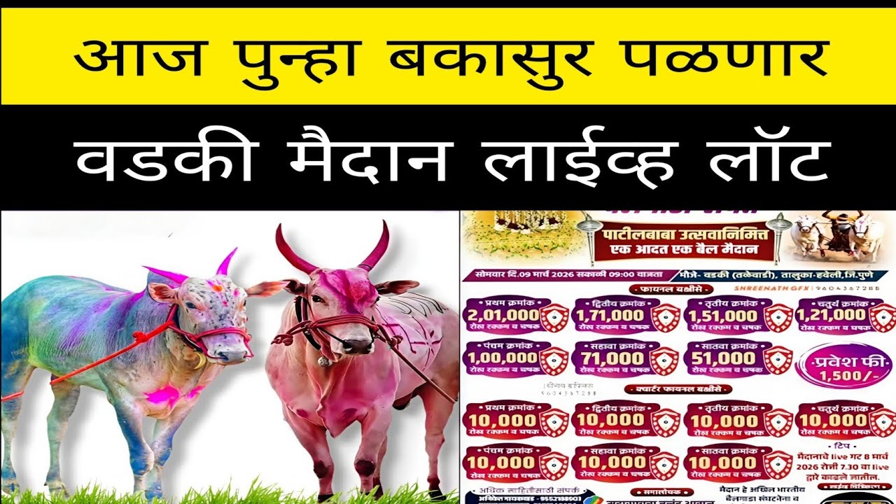 आज वडकी येथे होणाऱ्या आदत मैदानात बकासुर महाराज कॉकटेल सुंदर  चॉकलेट पाखऱ्या कोणत्या गटात पळणार