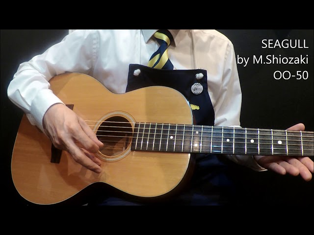 Rare 12-fret model [SEAGULL by M Shiozaki OO-50] Nagoya Acoustic