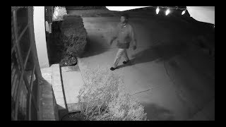 Burglary suspect caught on camera