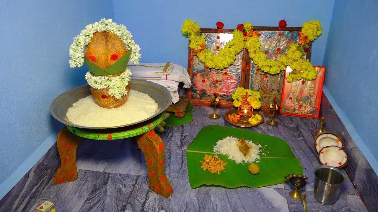 Darling Bala reception  video