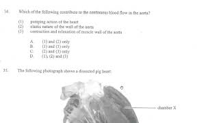 2018 DSE Biology MC Video Explanation (Q30-36)