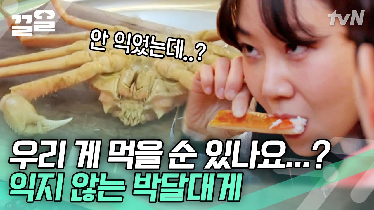지금 삼'계'탕 아니고 삼'게'탕 끓이고 있습니다만? N시간을 우려내어야만 맛볼 수 있는 진정한 대게의 맛! | 바퀴달린집2