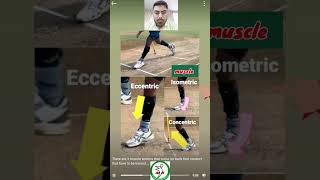 Eccentric, Concentric , Isometric Movement