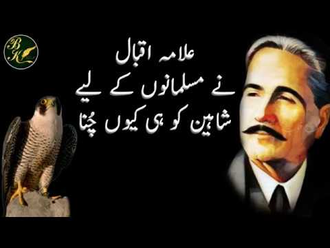 Nahi Tera Nasheman Qasr e Sultani K Gumbad Par - Allama Iqbal Poetry