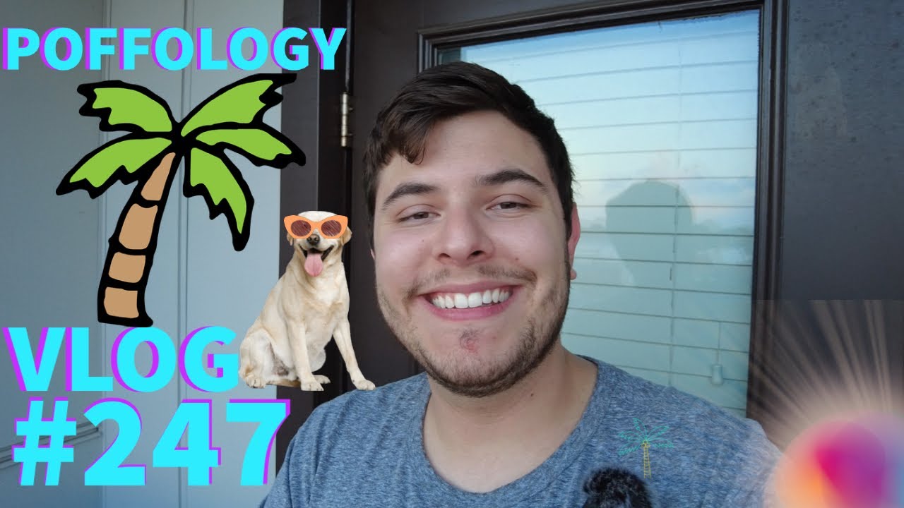 Who the Let the Dogs Out